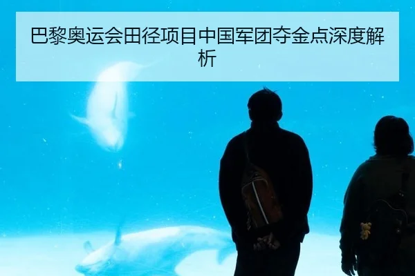 巴黎奥运会田径项目中国军团夺金点深度解析