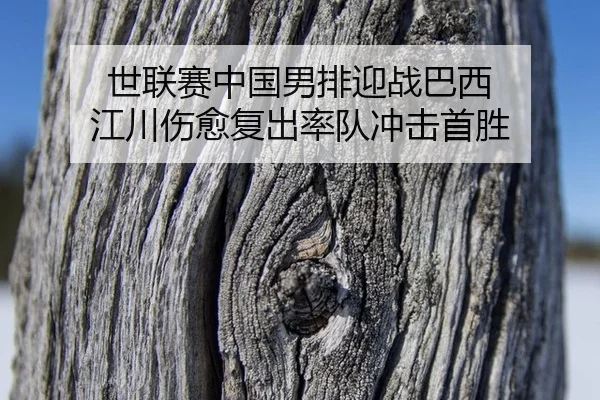 shi-lian-sai-zhong-guo-nan-pai-ying-zhan-ba-xi-jiang-chuan-shang-yu-fu-chu-shuai-dui-chong-ji-shou-sheng-2-612.jpg